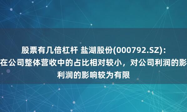 股票有几倍杠杆 盐湖股份(000792.SZ)：工业盐销售在公司整体营收中的占比相对较小，对公司利润的影响较为有限