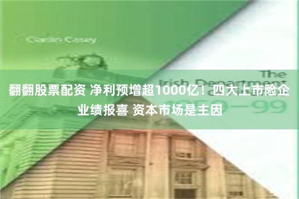 翻翻股票配资 净利预增超1000亿！四大上市险企业绩报喜 资本市场是主因