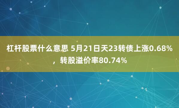 杠杆股票什么意思 5月21日天23转债上涨0.68%，转股溢价率80.74%