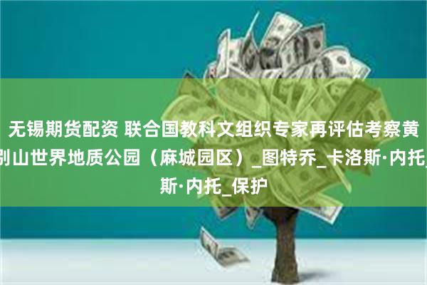 无锡期货配资 联合国教科文组织专家再评估考察黄冈大别山世界地质公园（麻城园区）_图特乔_卡洛斯·内托_保护