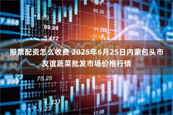 股票配资怎么收费 2025年6月25日内蒙包头市友谊蔬菜批发市场价格行情