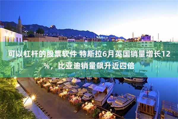 可以杠杆的股票软件 特斯拉6月英国销量增长12%，比亚迪销量飙升近四倍