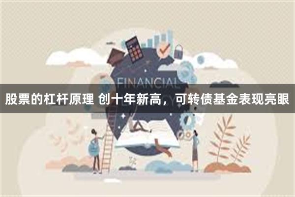 股票的杠杆原理 创十年新高，可转债基金表现亮眼