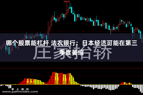 哪个股票能杠杆 法农银行：日本经济可能在第三季度萎缩