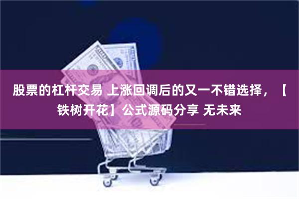 股票的杠杆交易 上涨回调后的又一不错选择，【铁树开花】公式源码分享 无未来