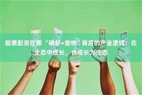 股票配资在哪 “磷虾+宠物”背后的产业逻辑：在生态中成长，也成长为生态