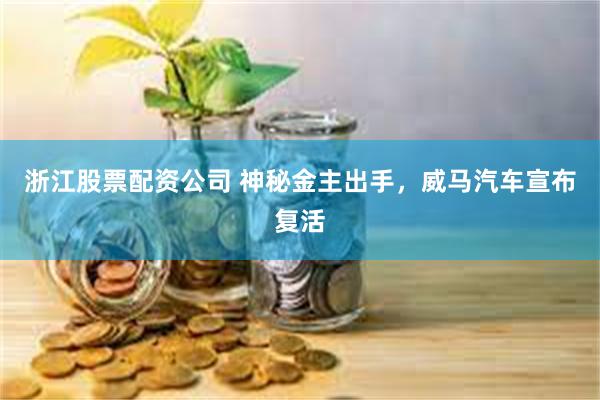 浙江股票配资公司 神秘金主出手，威马汽车宣布复活