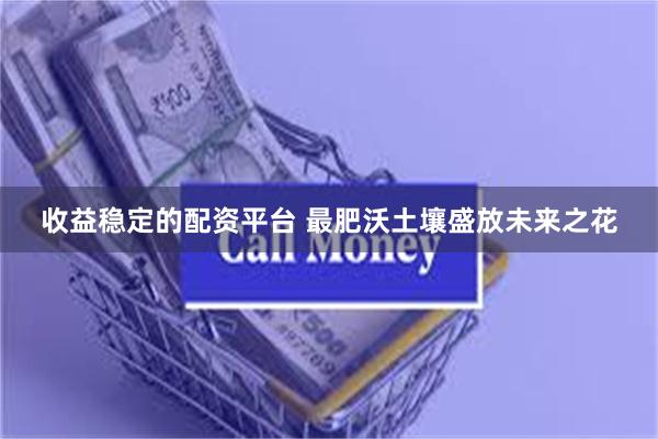 收益稳定的配资平台 最肥沃土壤盛放未来之花