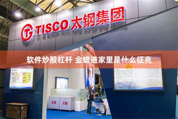 软件炒股杠杆 金蟾进家里是什么征兆